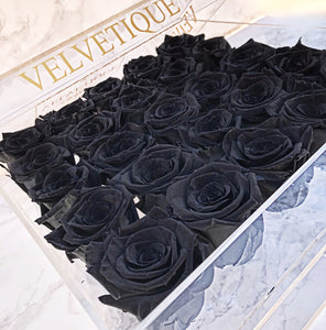 Box of 25 black roses