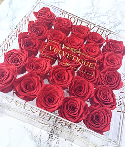 Box of 25 red roses